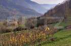 Casă la munte cu teren generos de 9340mp în zona Căpâlna - Valea Sebeșului - 12