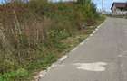Teren Intravilan 2900mp Criseni - Pret 102.000eur neg - 7