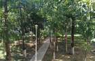 Proprietar/ persoană fizică – Apartament 3 camere, etaj 1 , splai bahlui mal dre - 1