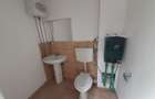 Hale de 500mp si 600mp in zona Progresul, Jilava - 12