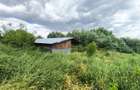 DE VÂNZARE – Domeniu cu casă, teren și afacere zootehnică avicolă în Dochia, NT - 20