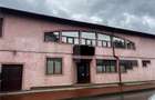 Spatiu comercial de vanzare, 300 mp, zona Burdujeni - 1