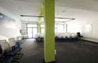 Spatii birouri/servicii - 55