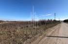 Teren de vânzare – 3.500 mp | 30 €/mp | Ocna Sibiului - 13