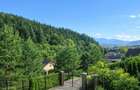 Vila distincta, panorama urbana, amplasare de top, Zarnesti, Brasov - 15
