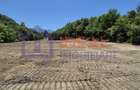 Teren intravilan 18.259 mp + construcție industrială, Mârșa - 1