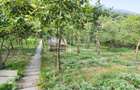 Teren intravilan 1600mp | Front 26m | Grigorescu | Zona strazii Donath - 4