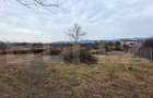Două case de vânzare, curte comună, 4 camer 110mp, 50 ari  Cristeștii Ciceului