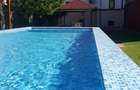 Vanzare vila zona Titulescu cu trei apartamente piscina garaj  gradina foisor - 1