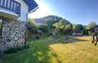 Pensiune cu 7 unitati de cazare in Apuseni judetul Alba - 3