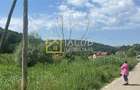 Teren Intravilan-Ideal Investitie-Podis,Margineni,Bacau - 2