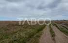Teren intravilan 2 fronturi de 35 m fiecare 8.000 mp Turnisor Sibiu - 8
