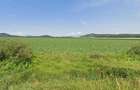 Teren extravilan de vânzare – Hărman – Podu Olt | 43.820 mp | - 2