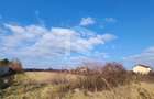 Teren cu deschidere lac Snagov Vladiceasca - 8