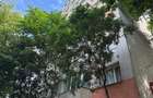 Apartament renovat | Colentina | Tripla Expunere - 14
