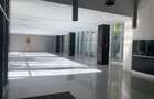 Penthouse, 5 camere, piscina proprie, zona  Kiseleff - Arcul de Triumf. - 23