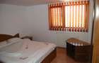 INVESTITIE!Imobil P+1,8 camere 380mp,teren 1629mp +crama superba+foisor - 15