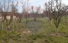 Teren Vladimirescu-  Zona Excelenta  2954 MP INTRAVILAN!!! - 6