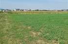 Teren intravilan 2500 mp  de vanzare - 2