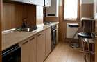 Apartament  de inchiriat 2 camere zona Cioceanu - 6
