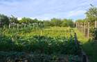 Teren intravilan zona Viile Satu Mare  - 11