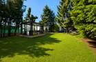 Lakefront Estate | 3.000 mp Teren | Ponton Privat | Snagov - 22