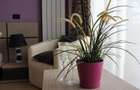 HOTEL 3 STELE, 5 NIVELE, MAMAIA NORD KM 0 ZONA ALEZZI - 40