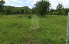 Teren 1000mp+cota drum-ideal cabana/investitie-panorama-Valea Rusului - 5