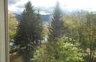 Proprietar Inchiriez ap 2 cam mare, insorit Astra  395 euro - 13