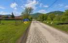 Teren 1200 mp Vadurele - comuna Alexandru cel Bun , cu utilitati - 4