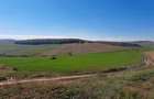 Teren agricol de vanzare  - 9