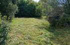 Casa Moreni 270 mp jud. Neamt - 4