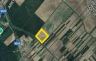 Teren extravilan 16,3 ha | Cosoba, Giurgiu | fotovoltaice - 2