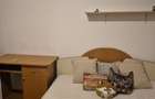Stefan cel Mare-Spital Colentina - 6