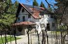Pensiune/ Vila Valea Avrigului - 30