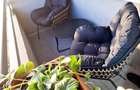 Apartament 3 camere decomandat 89 mp cu Parcare Privata - Mobilat si Utilat - 2