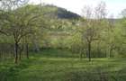 (307) Teren intravilan Calinesti – sat Carstieni, jud. Arges / Direct proprietar - 3