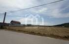 Teren Construibil 2.900 mp – Jucu de Mijloc, zona Panemar