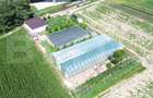 Teren extravilan 14.000 mp, Drâmbar – Ciugud | solarii, fotovoltaice - 5