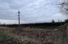 Teren 50000mp Extravilan-Intrare Halchiu-Cod 5235 - 5