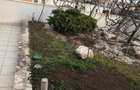 Iancu Nicolae:Apartament 3 camere cladire boutique cu piscina si terasa proprie! - 2
