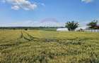 Teren 15,000mp Salcea-Prelipca, Suceava - 10