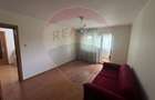 Apartament 2 camere str Carpati - 3