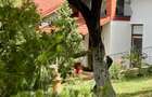 Casa individuala cu 5 camere si teren de 1 hectar - Ghioroc - Arad - 16