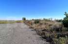 Teren intravilan 4.583 mp – Parc Industrial Sânandrei - 2