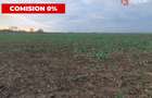 Comision 0% Teren extravilan agricol 21,32 ha sau intravilan cu PUZ aprobat - 19
