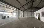 Spatiu depozit sau productie 272mp la rampa, zona industriala Someseni - 1