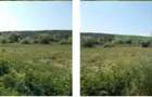Teren extravilan - 5.800m², Calnic - 7