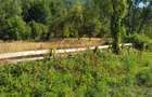 TEREN INTRAVILAN ZĂVOI\ZONA VALEA BISTREI, JUD.C-S - 6