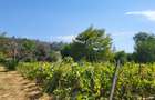 Casă de vânzare în mediul rural – liniște, natură și confort - 12